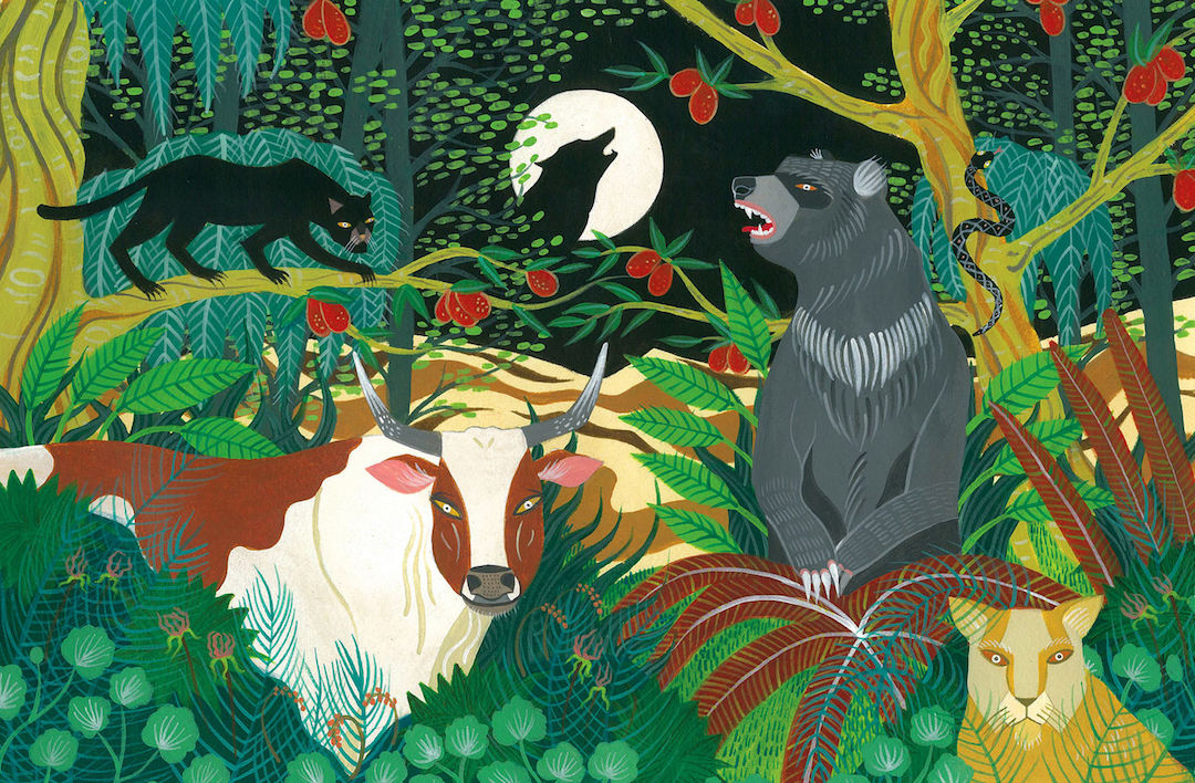 Magical Illustrations by Lisa Vanin