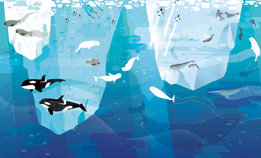 Ocean Illustration by Lucie Brunellière