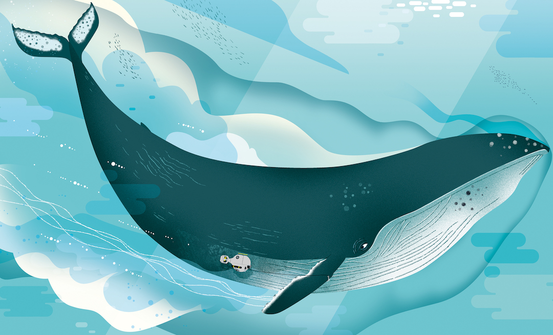 Ocean Illustration by Lucie Brunellière