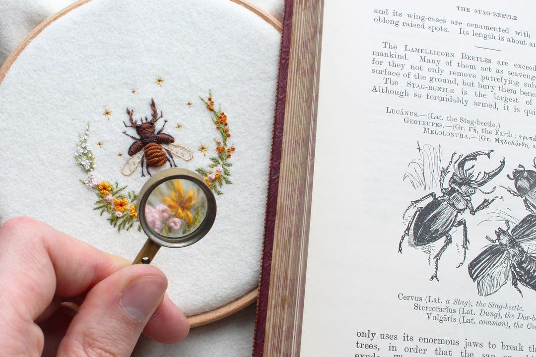 Insect Embroidery by Adam Pritchett