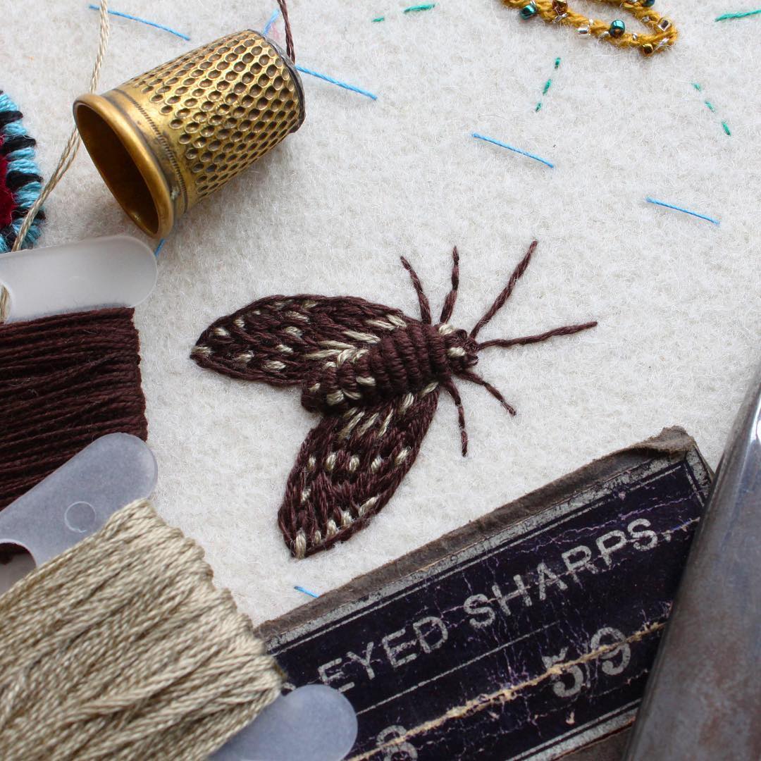 Insect Embroidery by Adam Pritchett