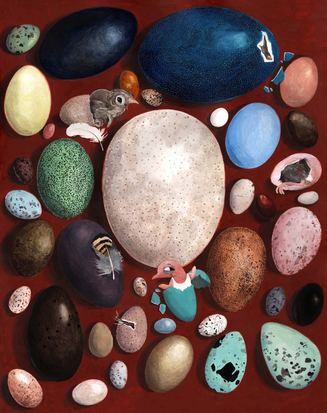 Bird illustrations by Lihie Jacob