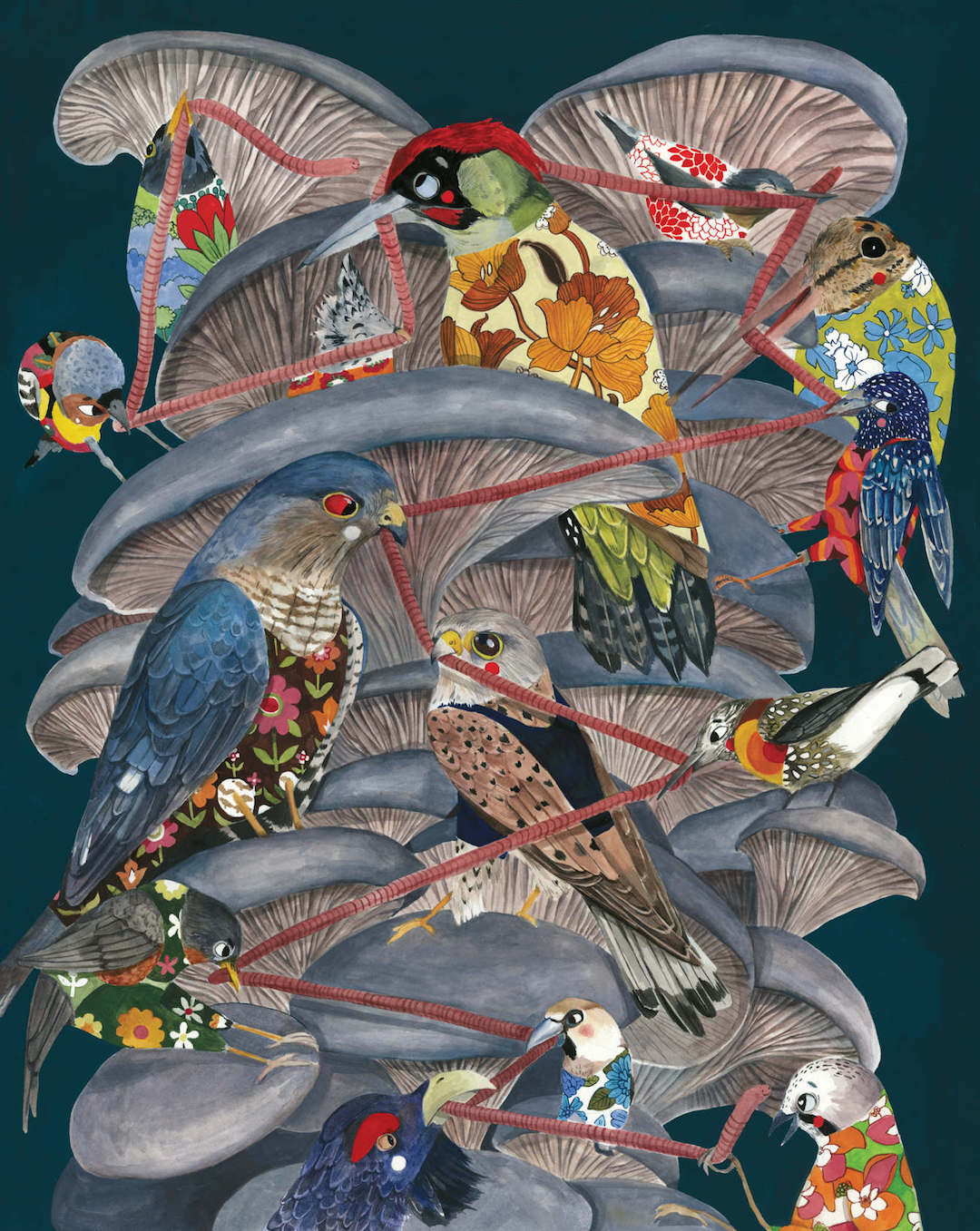 Bird illustrations by Lihie Jacob
