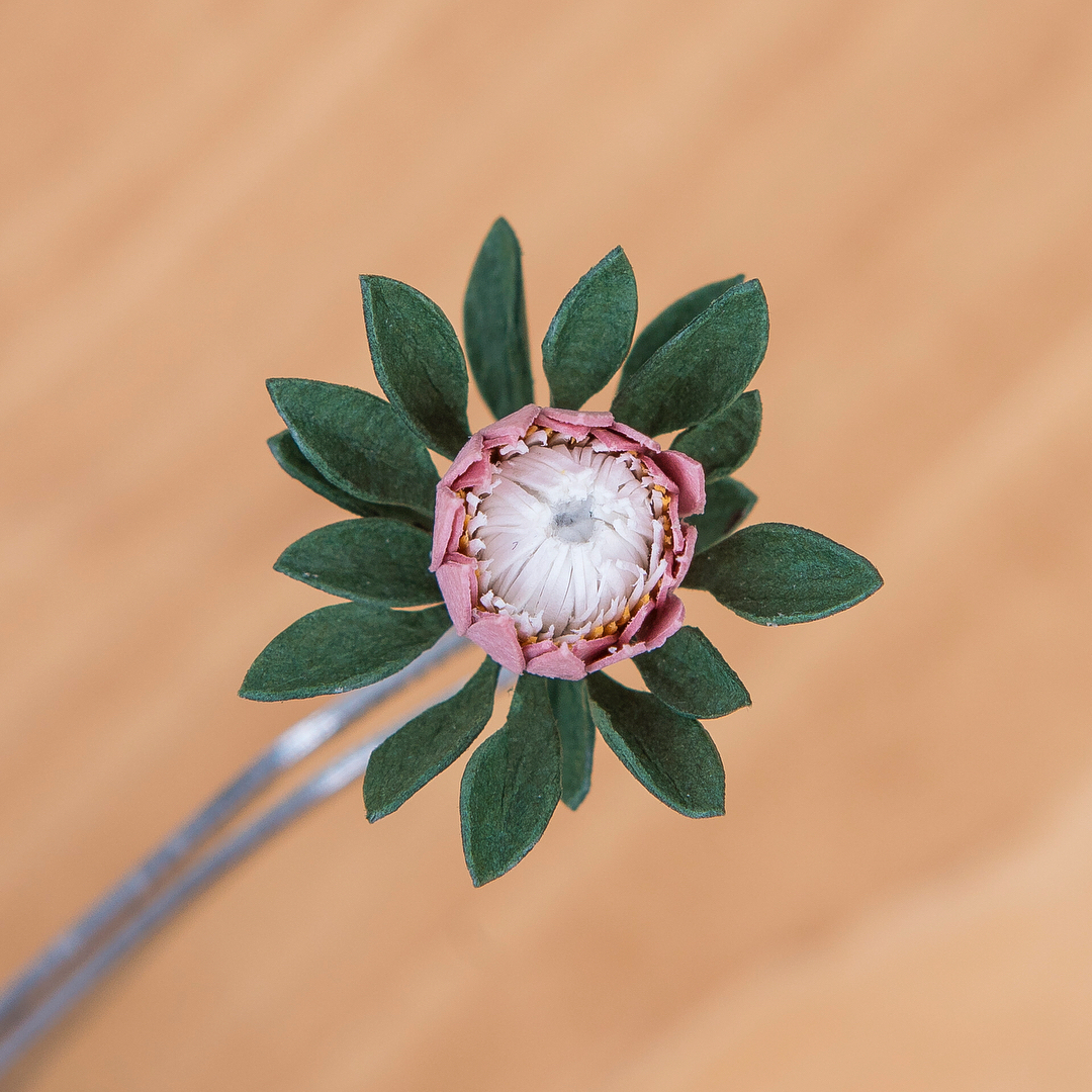 Tiny paper plants by Raya Sader Bujana