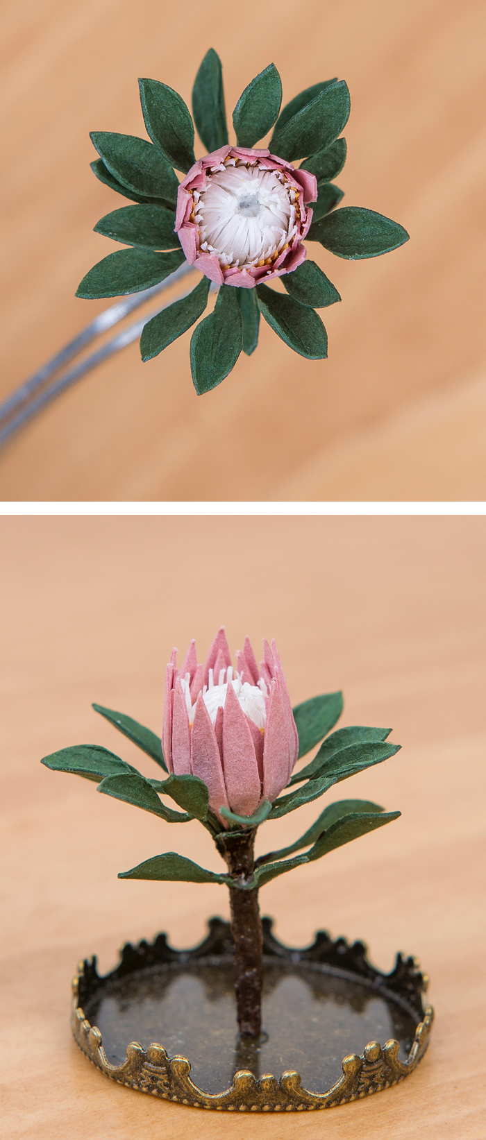 Tiny paper plants by Raya Sader Bujana
