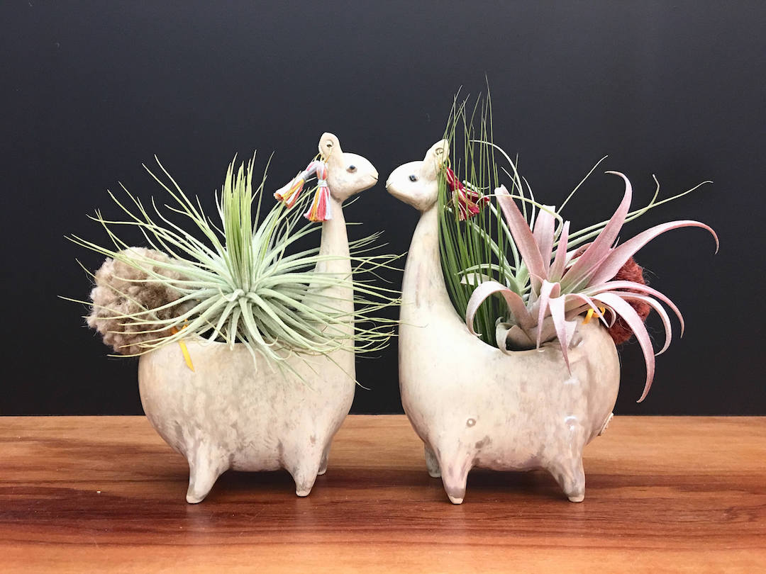 15 planters that make perfect plant gifts for fern fanatics paper bag flower vase
