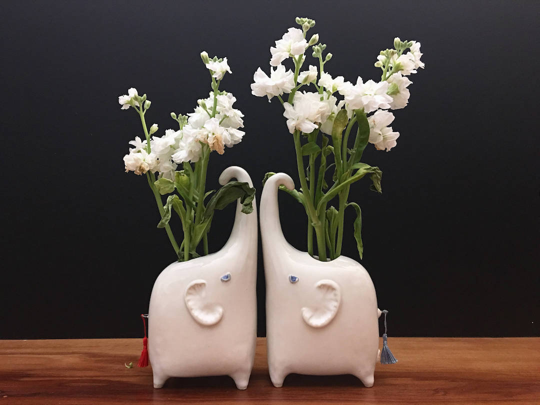 Plant GIfts