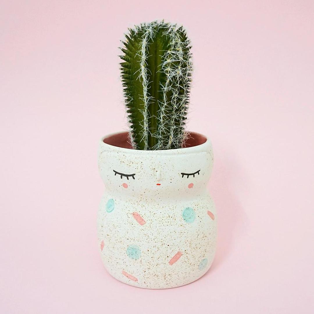 Plant Gifts