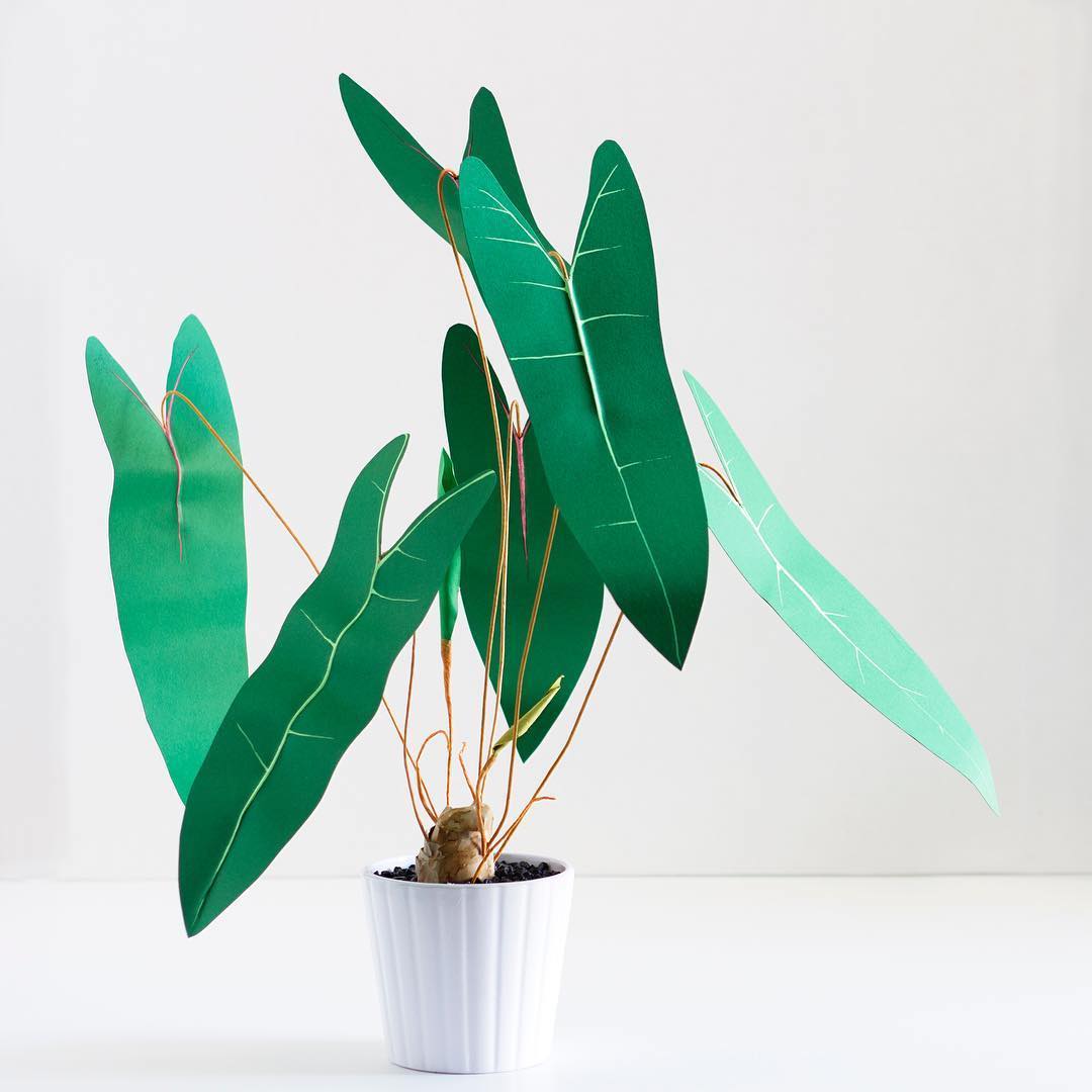 Paper plant crafted by Corrie Beth Hogg
