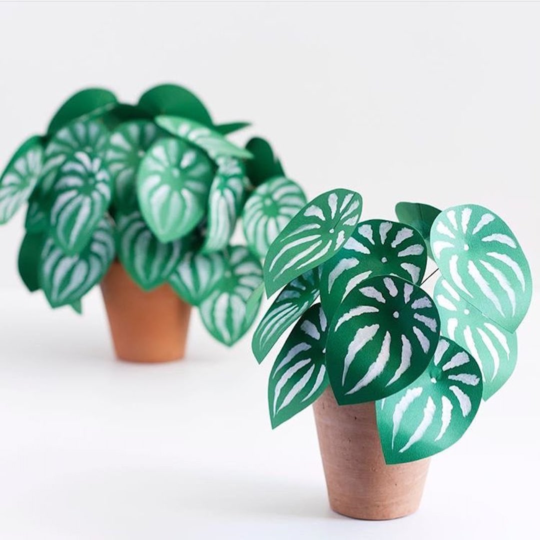 Paper plant crafted by Corrie Beth Hogg