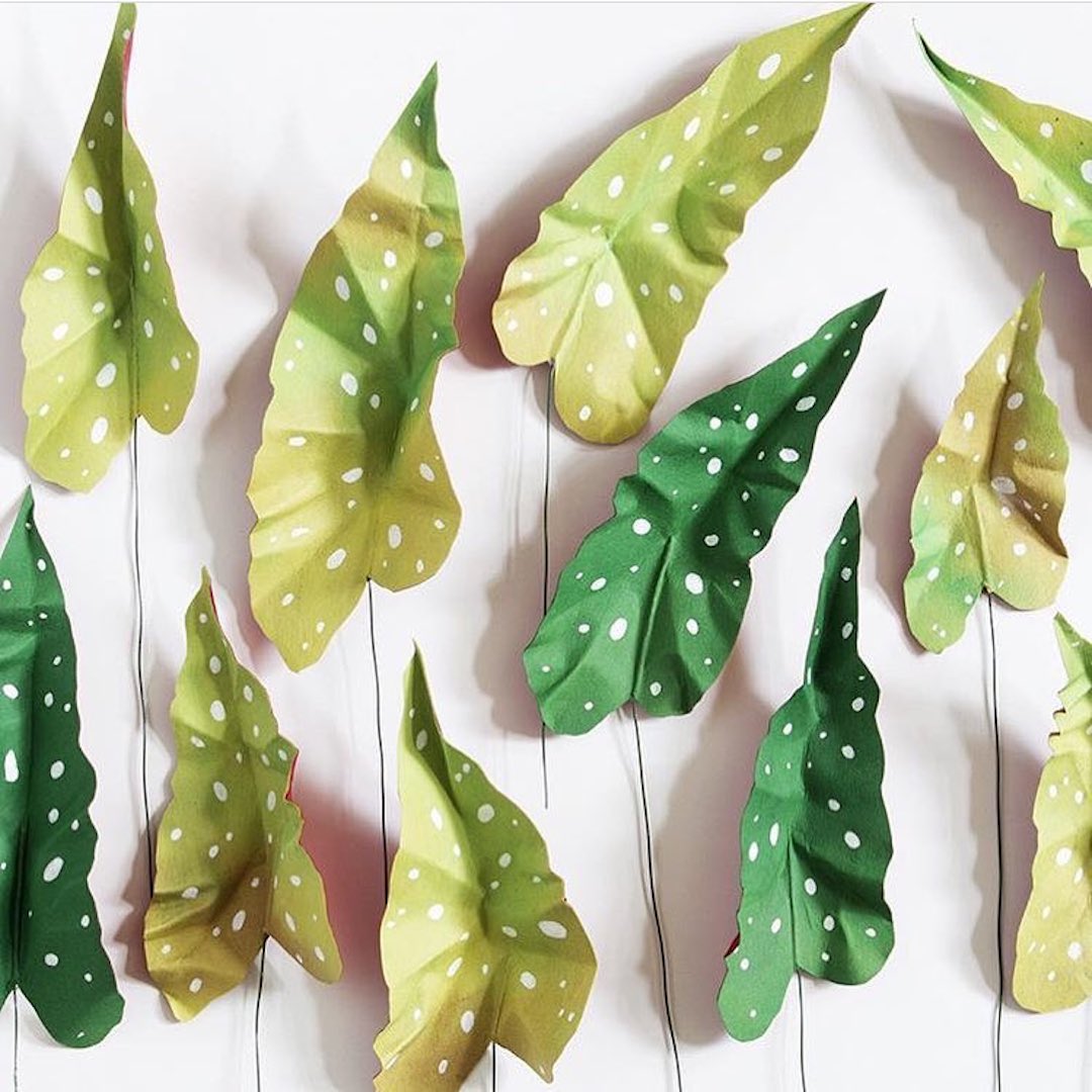 Paper plant crafted by Corrie Beth Hogg
