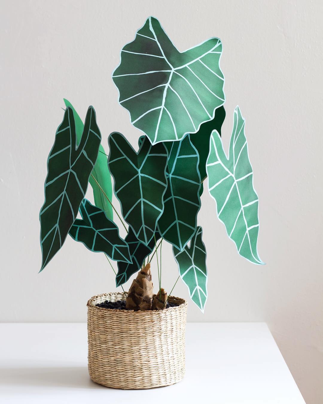 Paper plant crafted by Corrie Beth Hogg