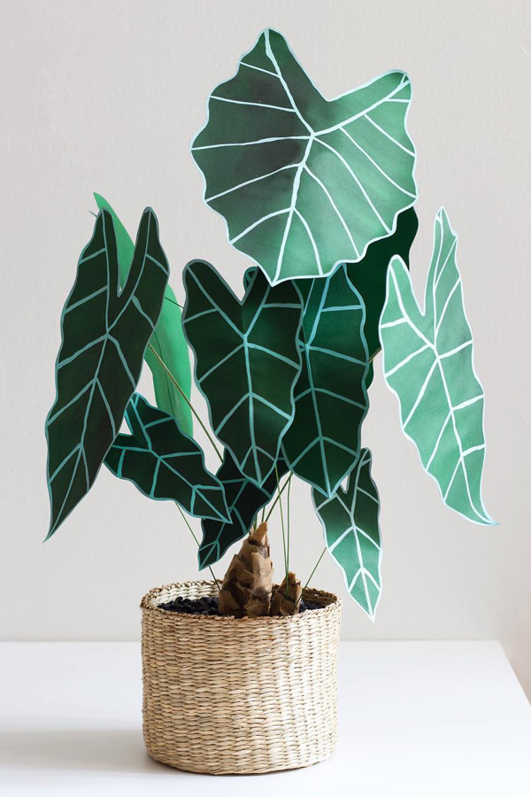 Paper plant crafted by Corrie Beth Hogg