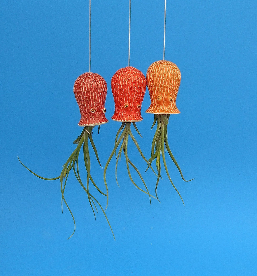 Ceramic air plant holder by Cindy Searles