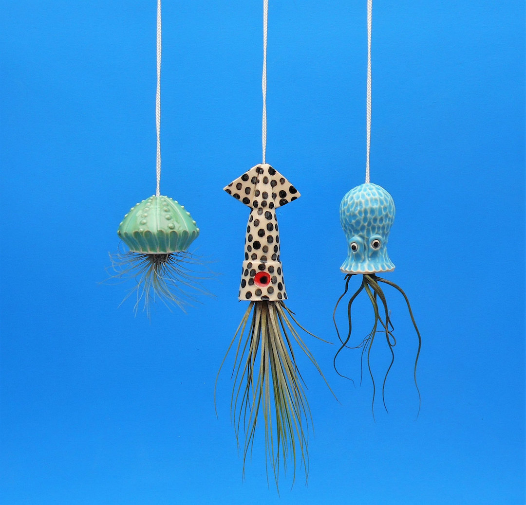 Ceramic air plant holders by Cindy Searles