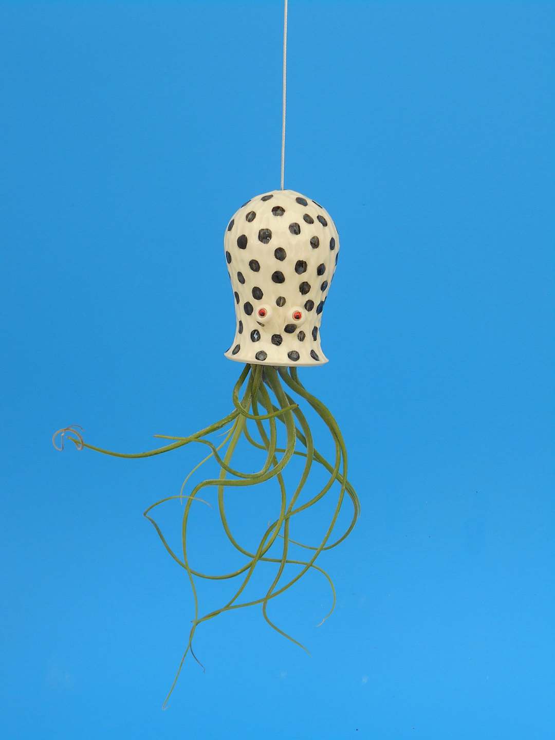 Ceramic air plant holder by Cindy Searles