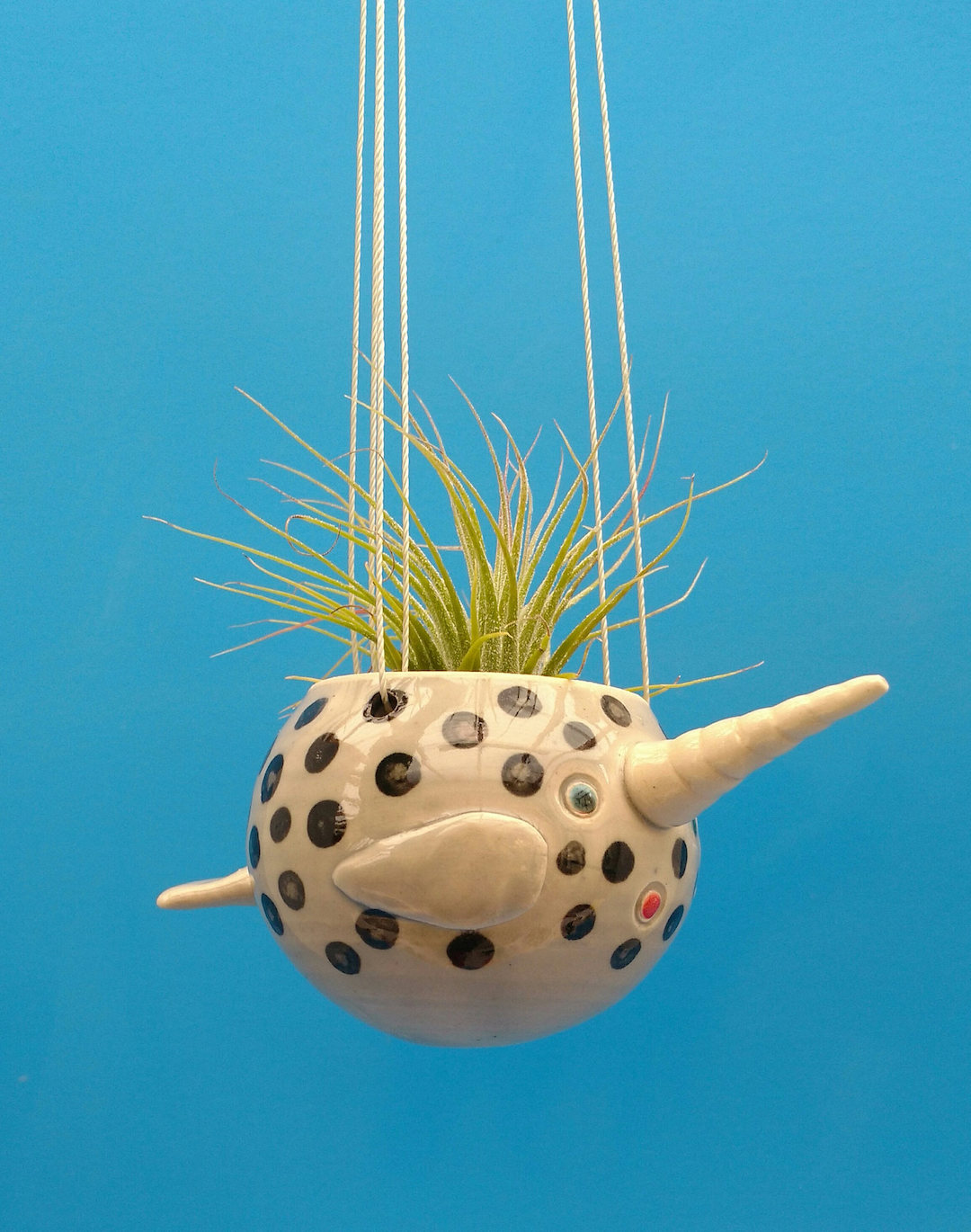 Ceramic air plant holder by Cindy Searles