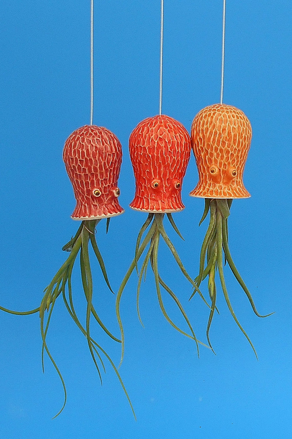 Ceramic air plant holder by Cindy Searles