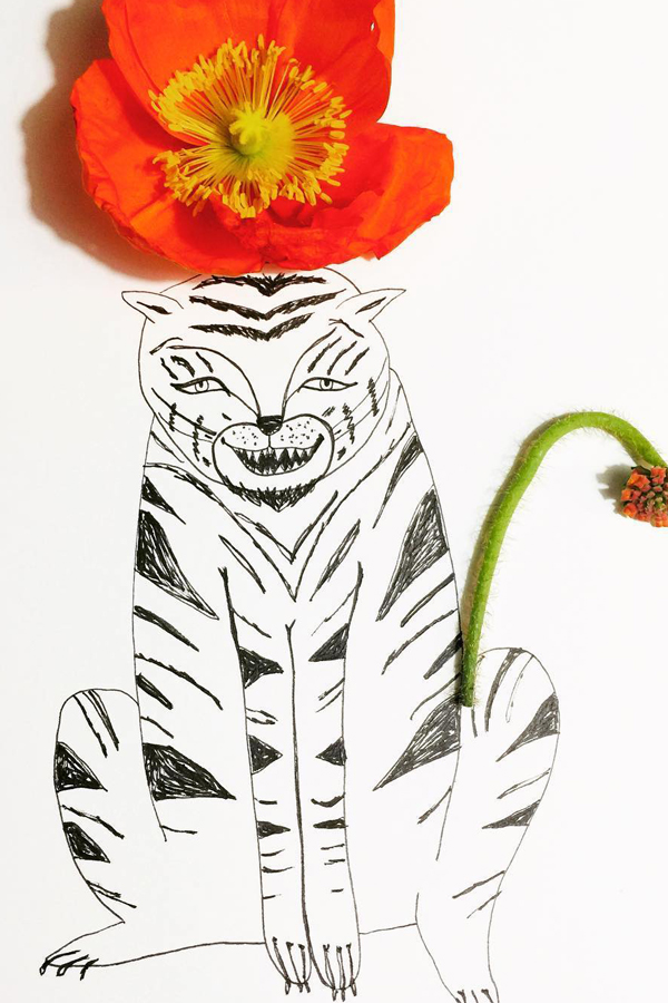Flowers mixed with drawing by Melissa Rossi Flesher
