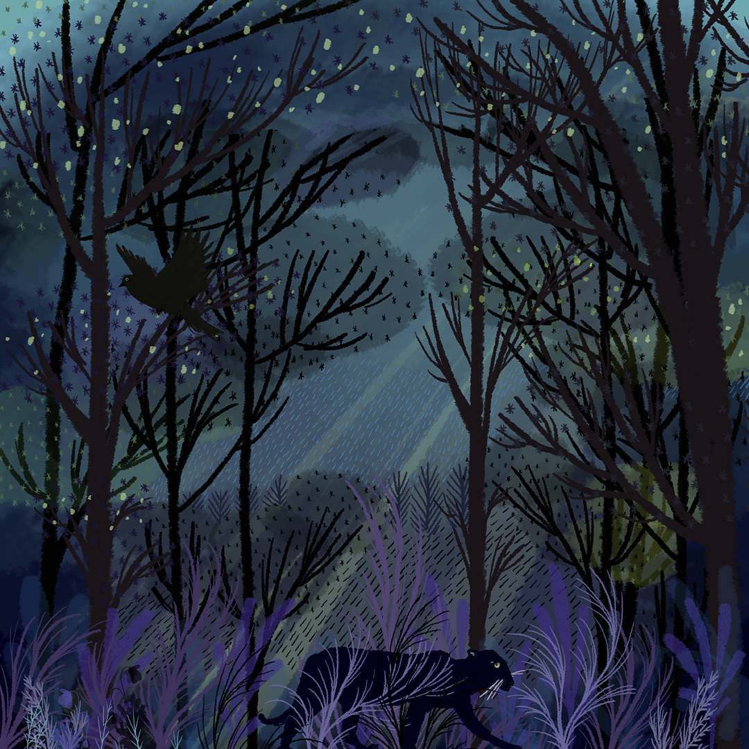 Digital illustrations by Jane Newland