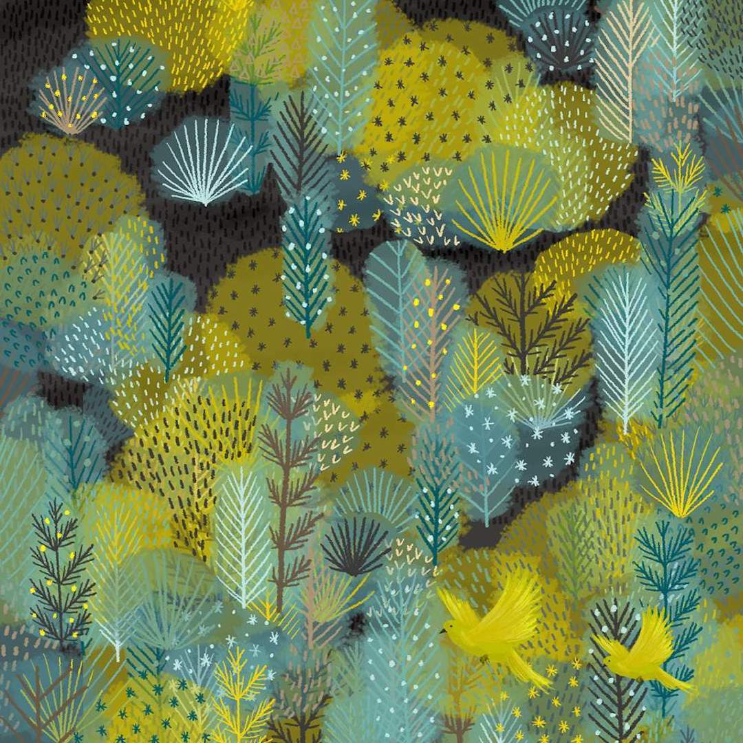 Digital illustration by Jane Newland