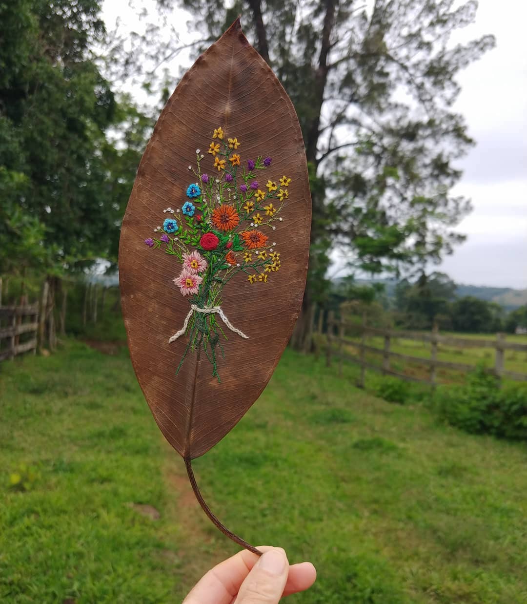 Embroidery on leaves by Solange Nunes