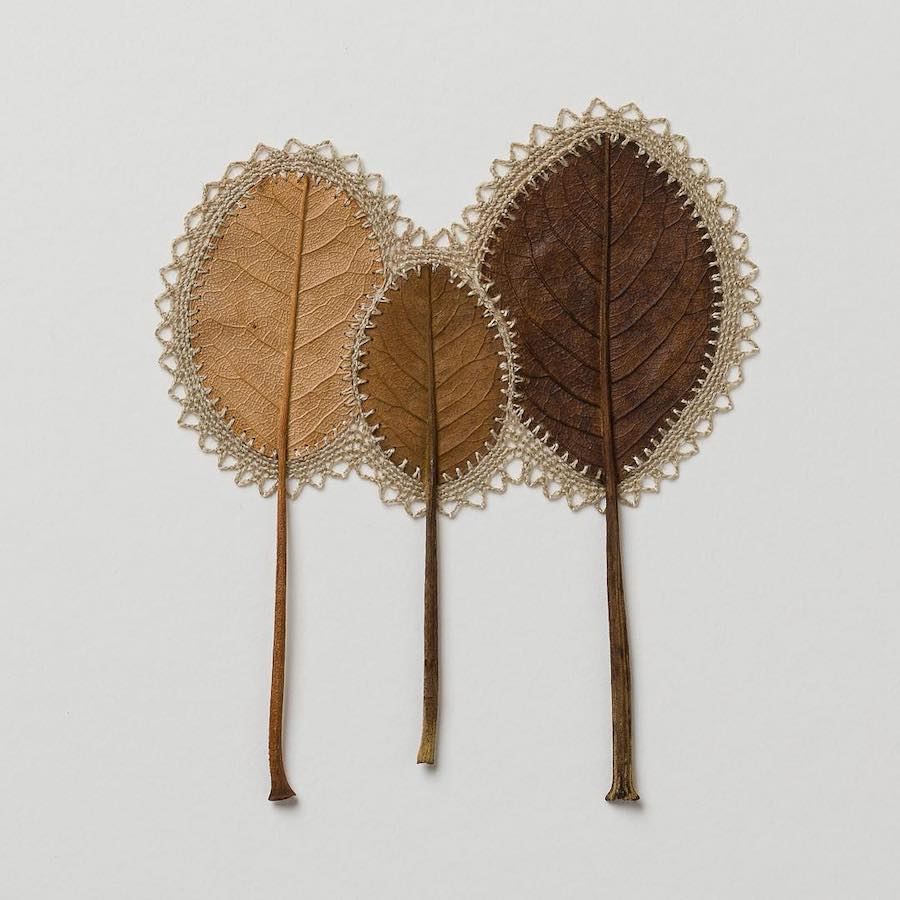 Leaf art by Susanna Bauer