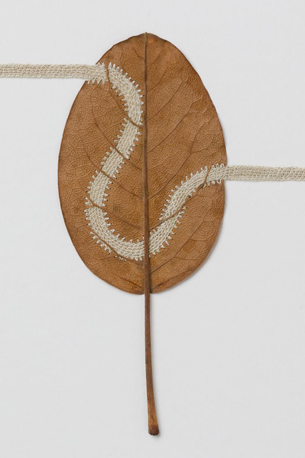 Leaf art by Susanna Bauer