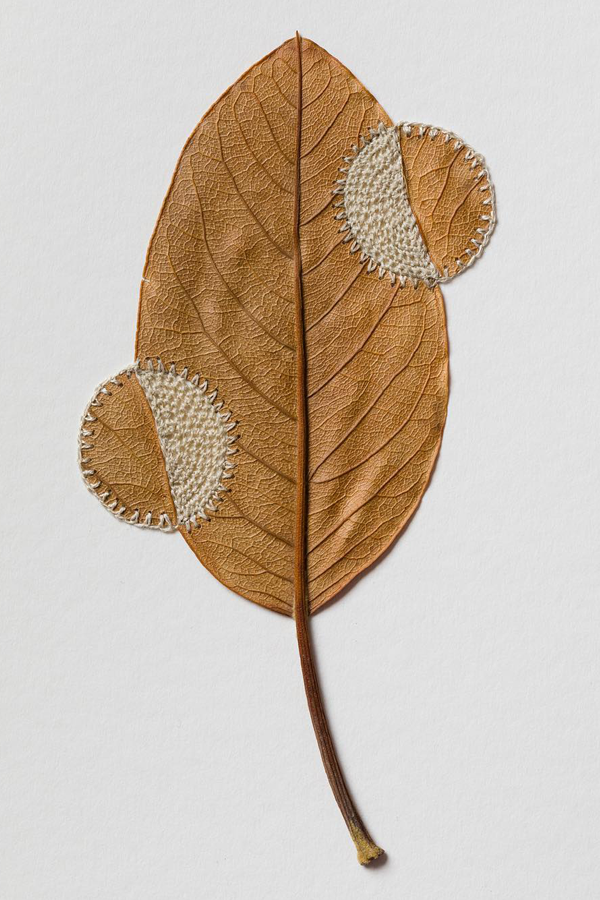 Leaf art by Susanna Bauer