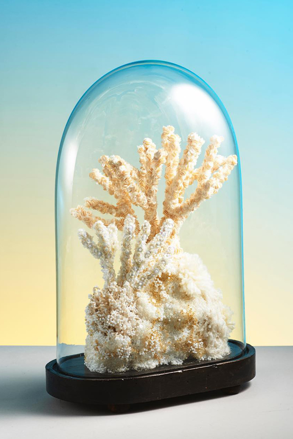 Coral sculpture by Aude Bourgine