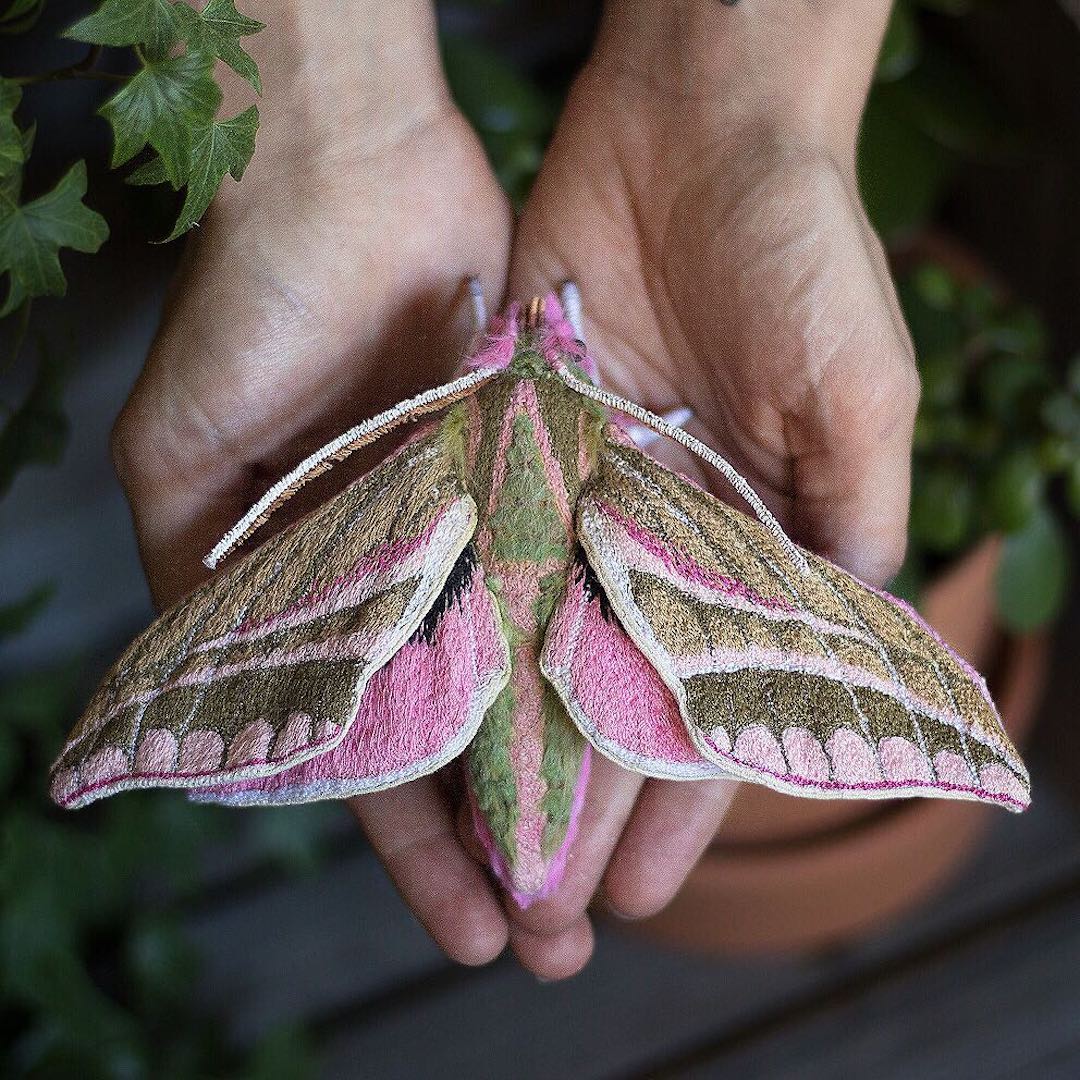 Fabric moth by Emily Yeadon