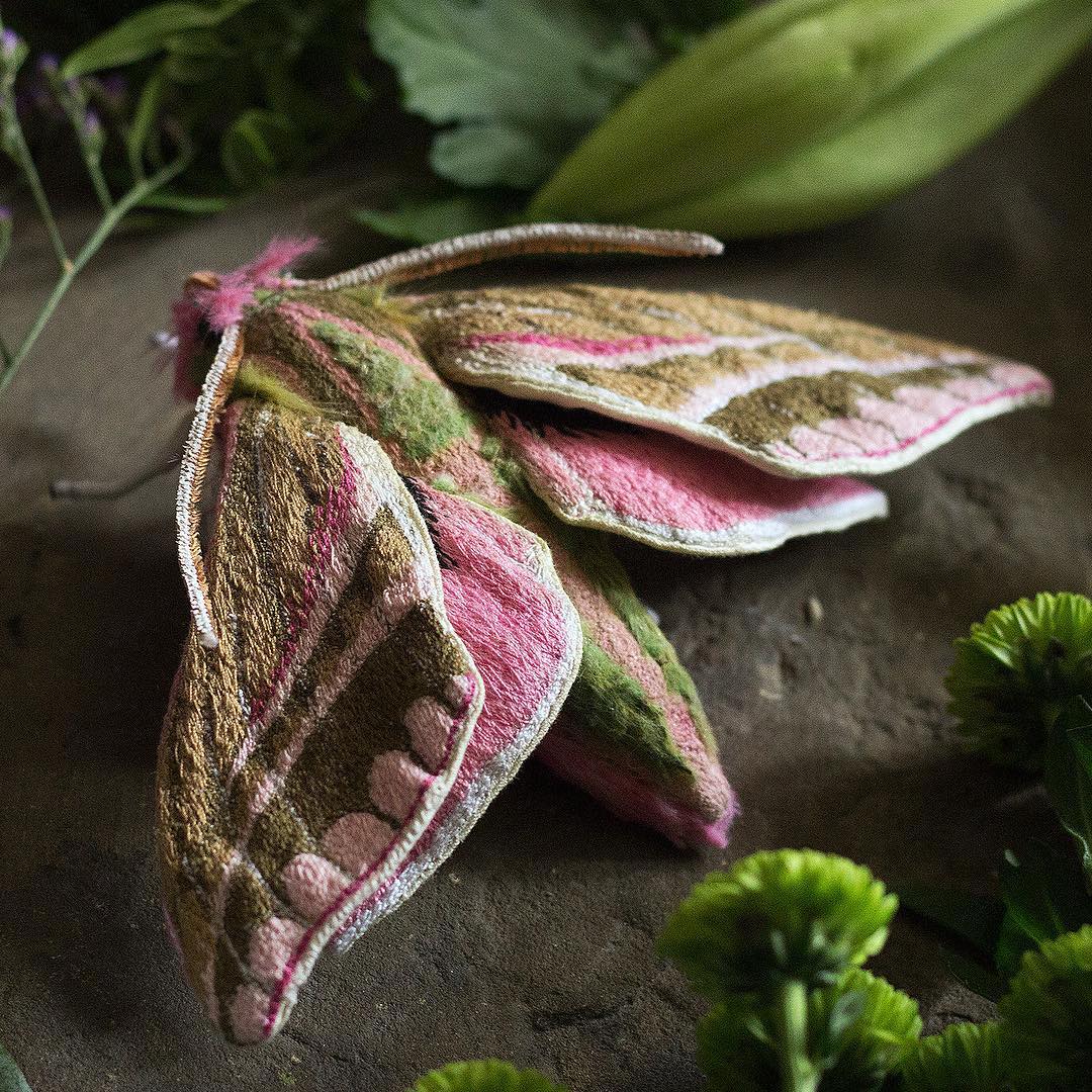 Fabric moth by Emily Yeadon