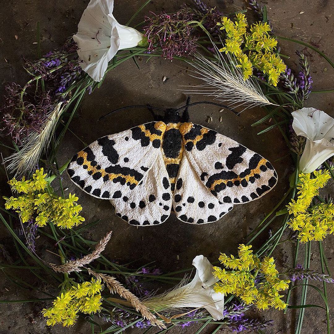 Fabric moth by Emily Yeadon