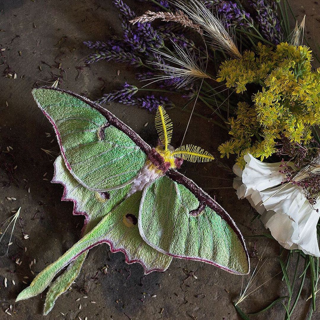 Fabric moth by Emily Yeadon