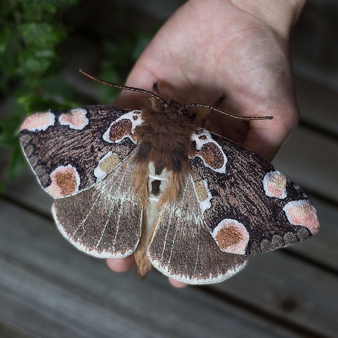 Fabric moth by Emily Yeadon