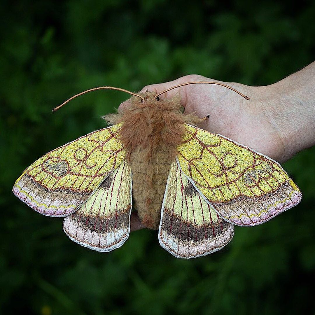 Fabric moth by Emily Yeadon