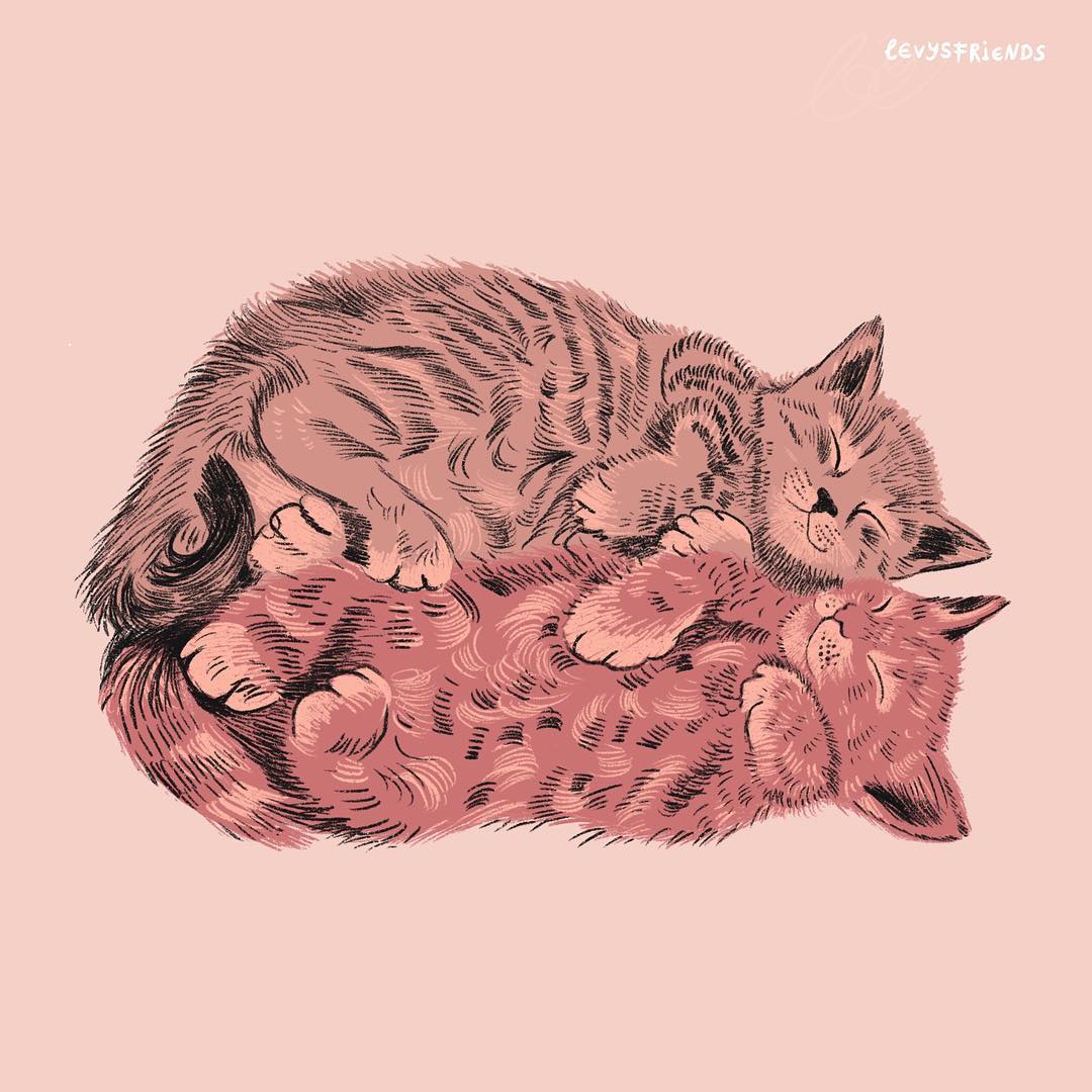 Custom pet portraits by Levy's Friends