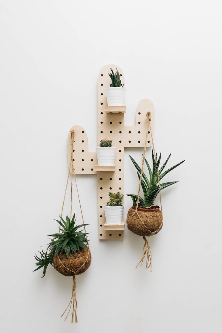 Cactus pegboard