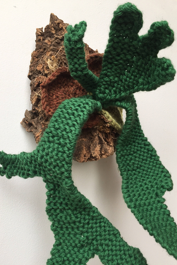 Knitted staghorn fern mounted on wood