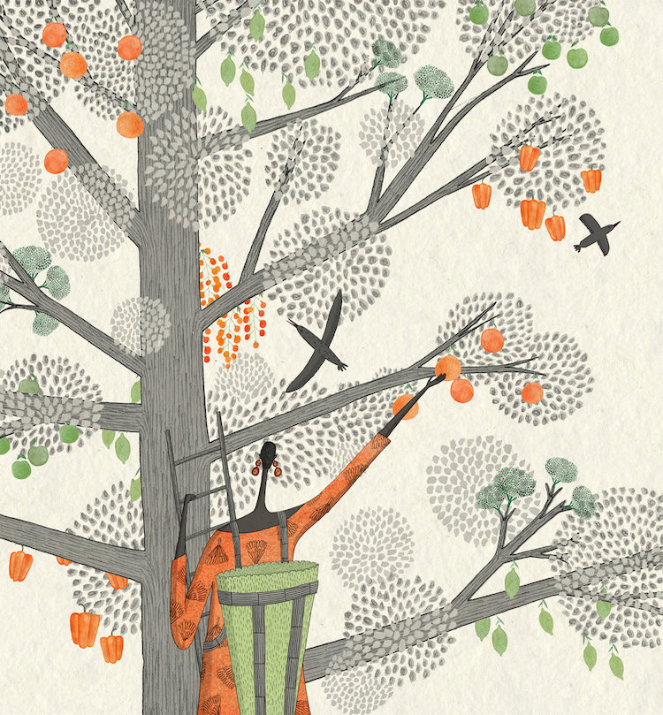 Stylized illustration by Rosanna Tasker