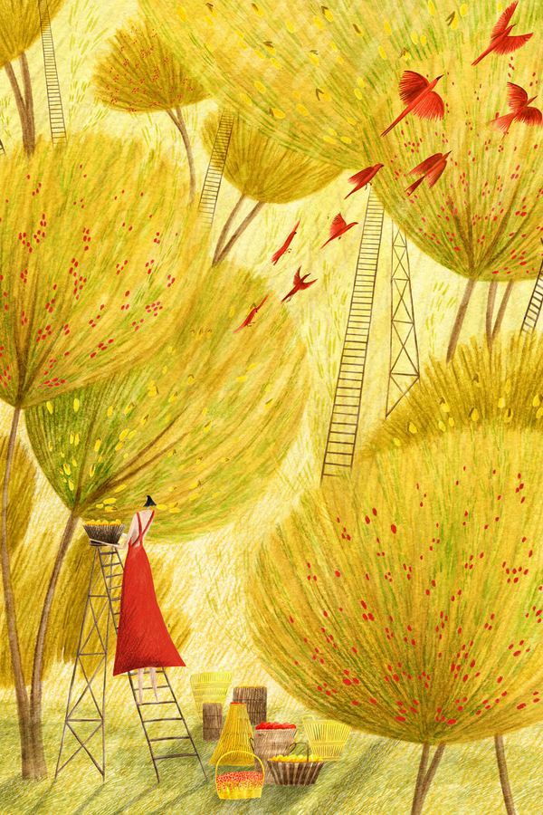 Stylized illustration by Rosanna Tasker