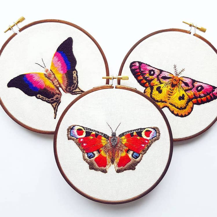 Hold a Winged Creature In Your Hand With Butterfly Embroidery