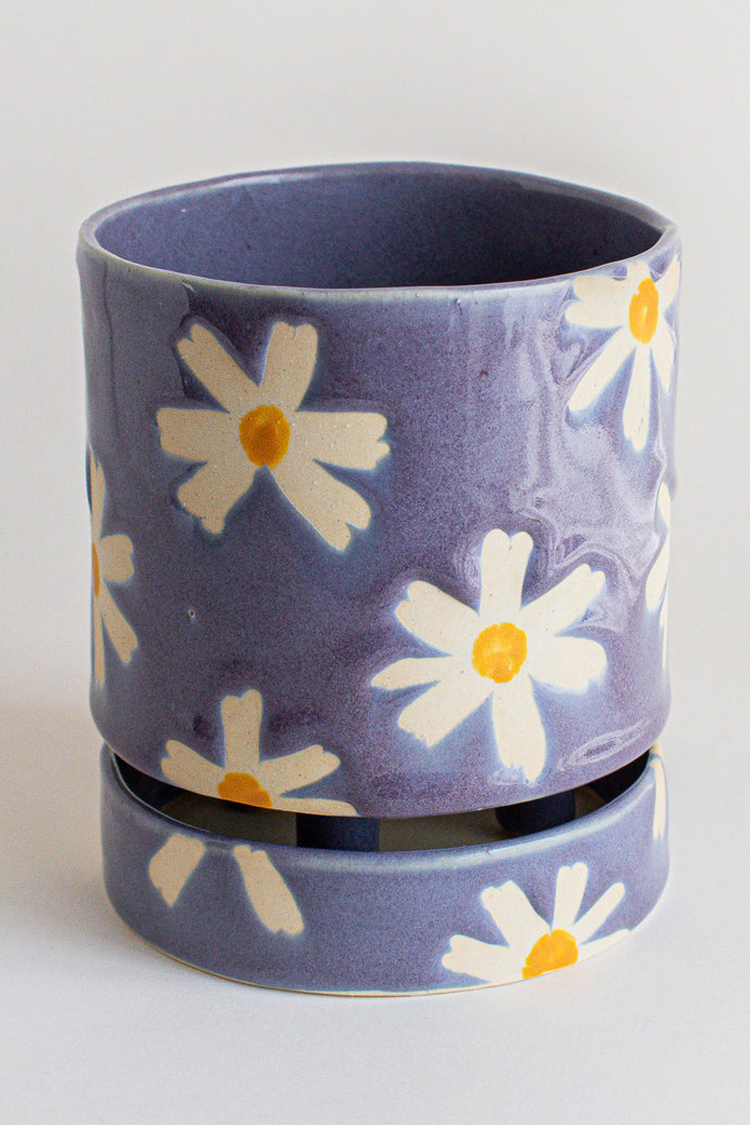 Daisy planter