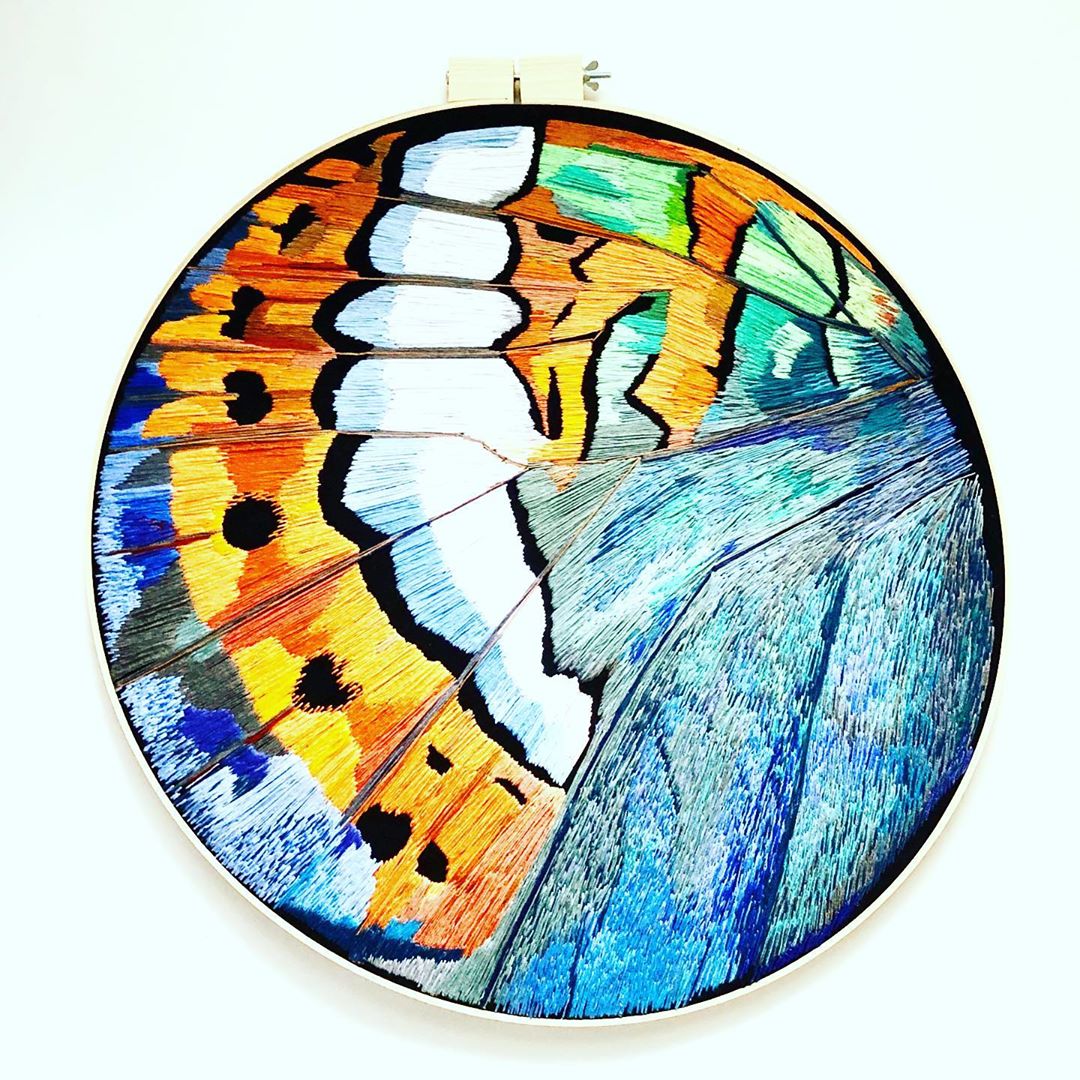 Butterfly wing contemporary hoop art by Rabbit Hat Designs