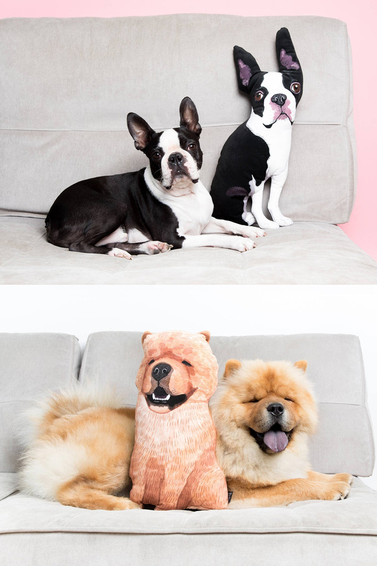 Custom Pet Portrait Pillows