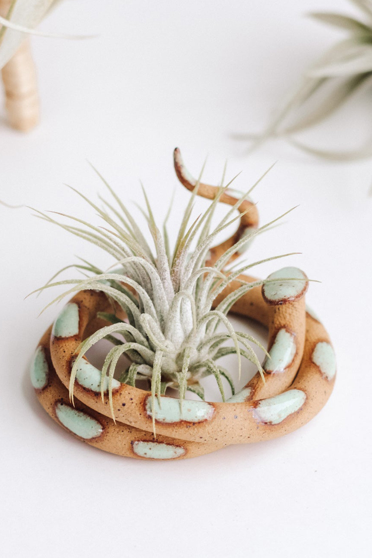 Ceramic Snake Air Plant Holder