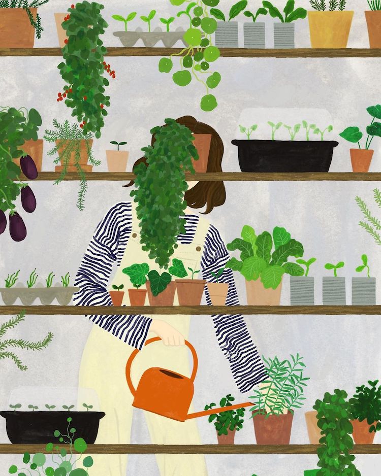 Illustration of a woman with plants and a watering can