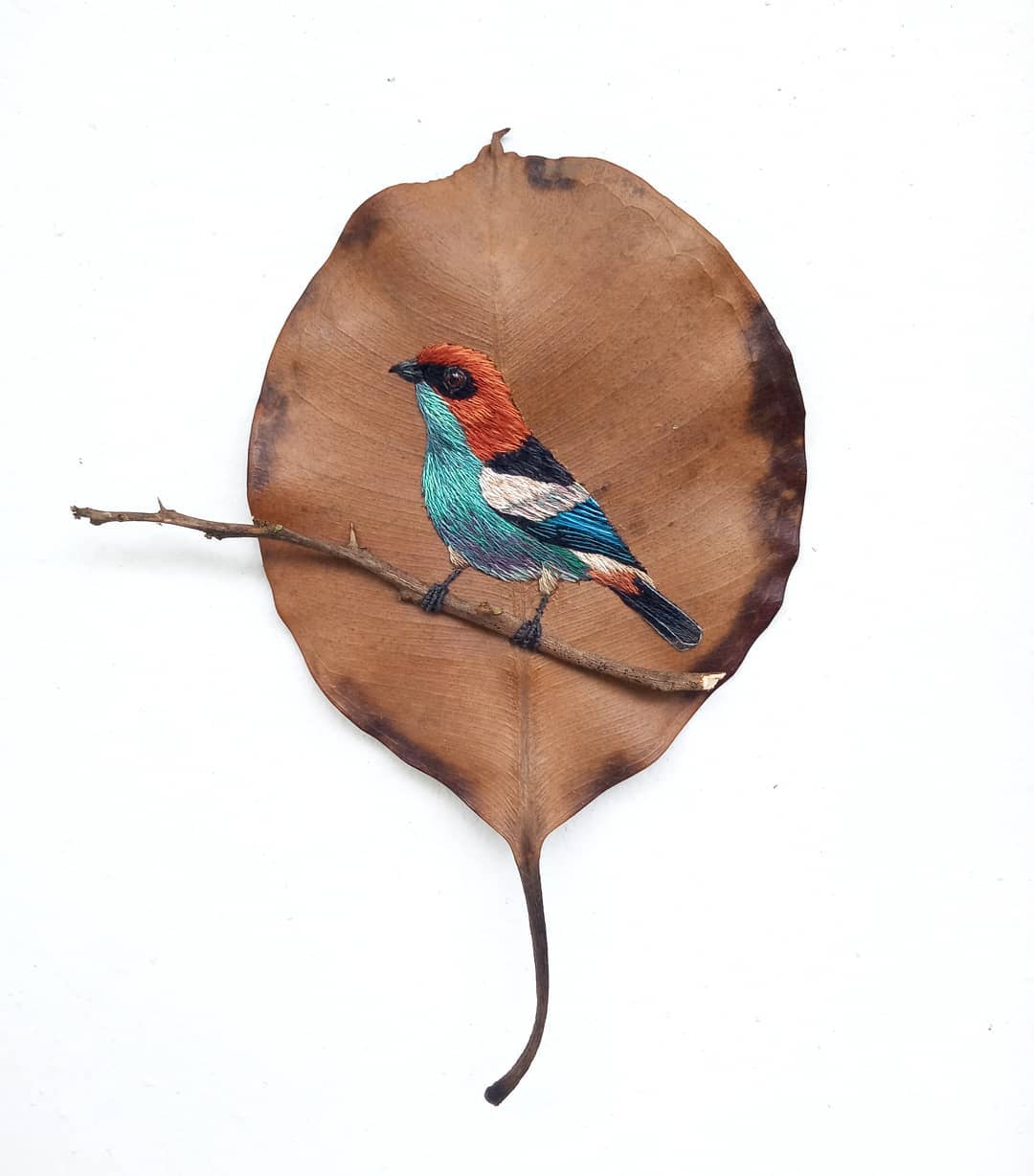 Embroidery on leaves Laura Dalla Vecchia