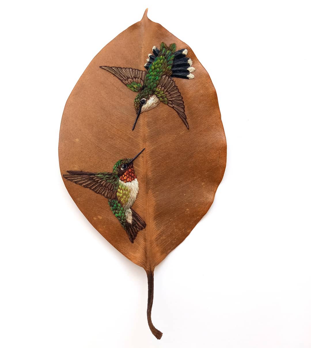 Embroidery on leaves Laura Dalla Vecchia