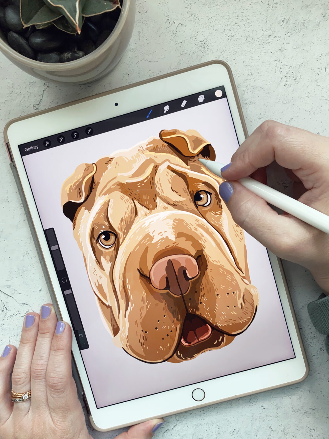 Drawing a Pet Portrait on an iPad Air